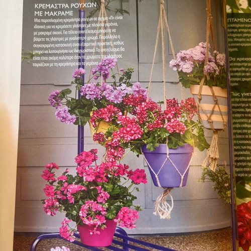 Mastoremata magazine Garden work new
