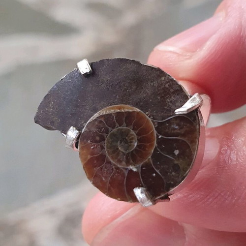 Ring with Fossilised Ammonite Size USA 6.5 Silver Plated New