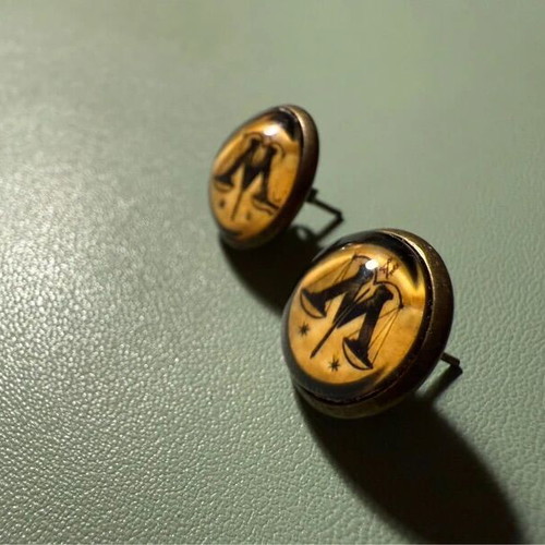 Harry Potter Ministry of Magic metal earrings like new