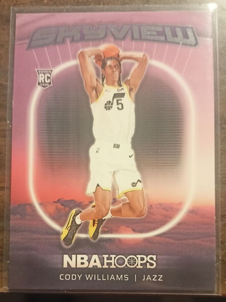 Panini NBA hoops 24-25