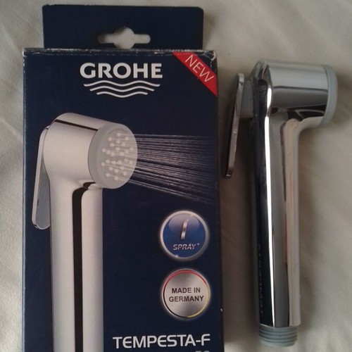 Grohe Tempesta shower handset chrome like new