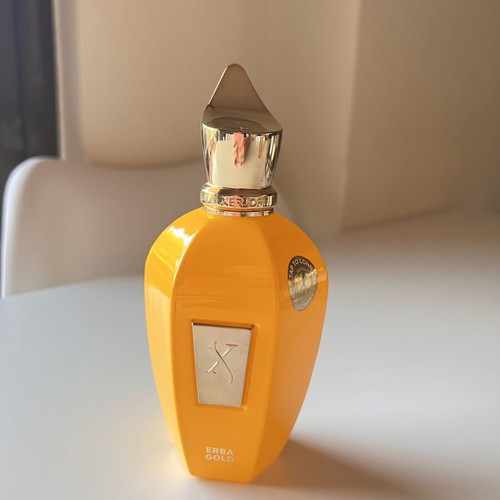 XERJOFF Erba Gold Eau de Parfum 100 ml