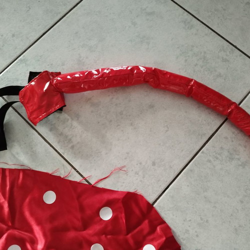 Carnival costume Diavolina used