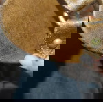  Πεδιλα
