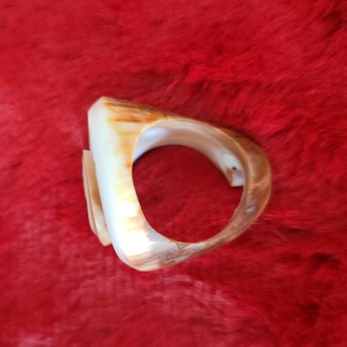 Shell ring used, unique design