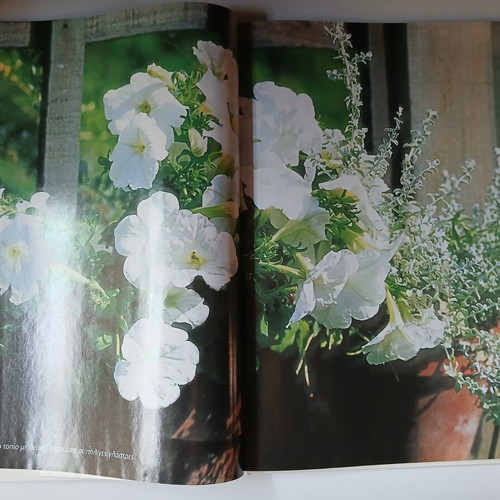 Plants in Pots Anthoculture Guide Volume 1 used