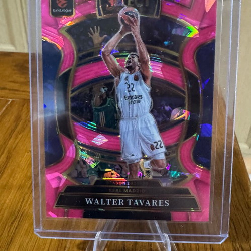 Walter Tavares Cracked Ice basketball card /25