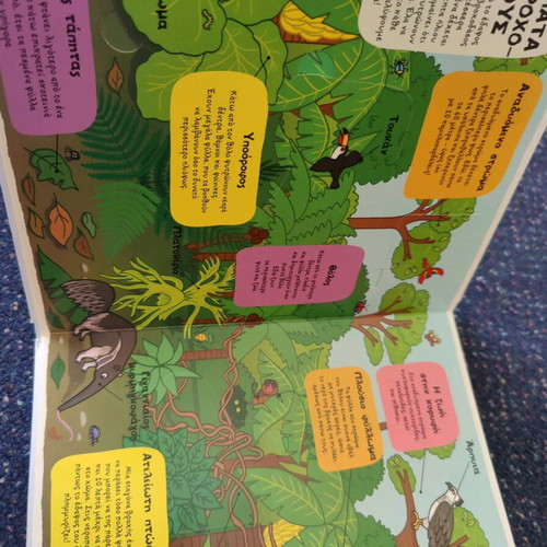 Rainforest children's book new