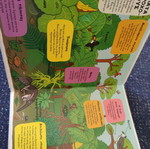 Rainforest children's book new