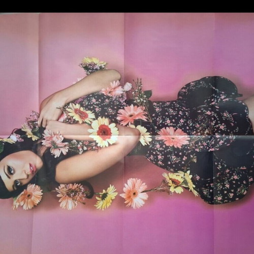 Katy Perry collectible posters new, pack of 2