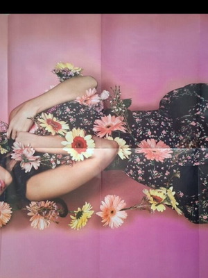 Katy Perry collectible posters new, pack of 2