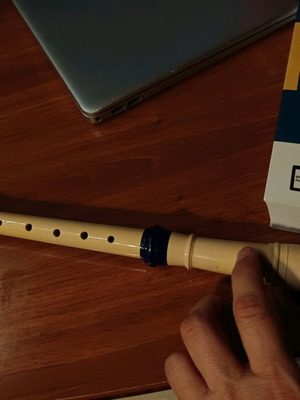 Plastic recorder flute like new
