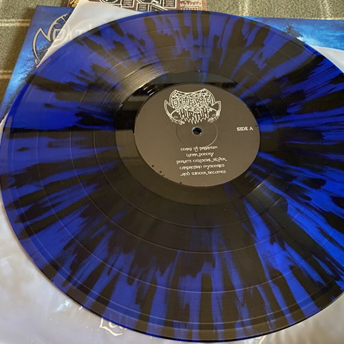 Nokturnal Mortum Lunar Poetry LP, blue and black