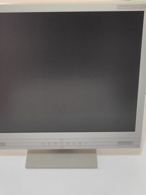 EIZO FlexScan M1900 19” monitor like new