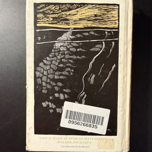 Great Expectations by Charles Dickens used, White’s Fine Pocket Classic 2010