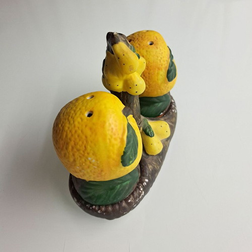 Ceramic salt and pepper set used with vintage Bassano del Grappa design