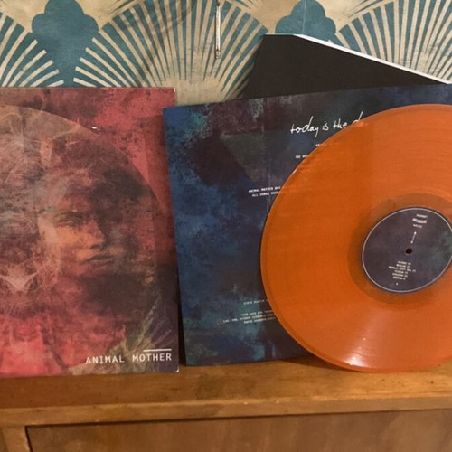 Today Is The Day Animal Mother orange vinyl like new