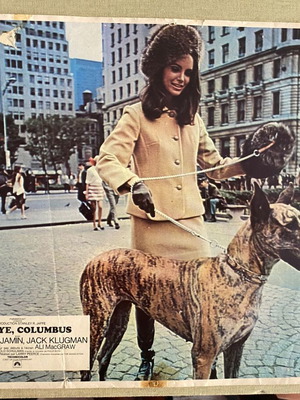 Goodbye, Columbus 1969 vintage lobby card with Ali MacGraw