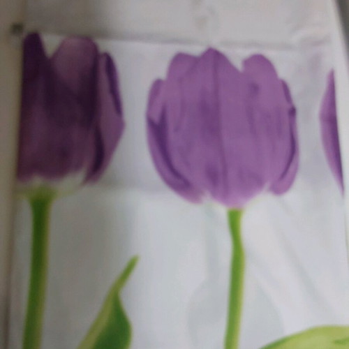 Spirella shower curtain and bath mat set used in very good condition