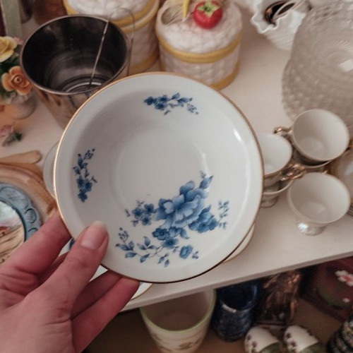 Colditz Porzellan GDR Hand Painted set of 5 bowls like new