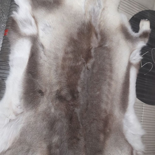 Reindeer Skin New With Dense Hair 130x75cm