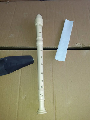 Plastic recorder new with case