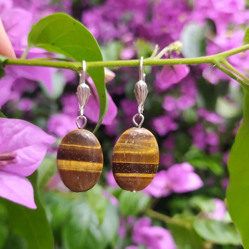 Earrings with tiger eye stones like new