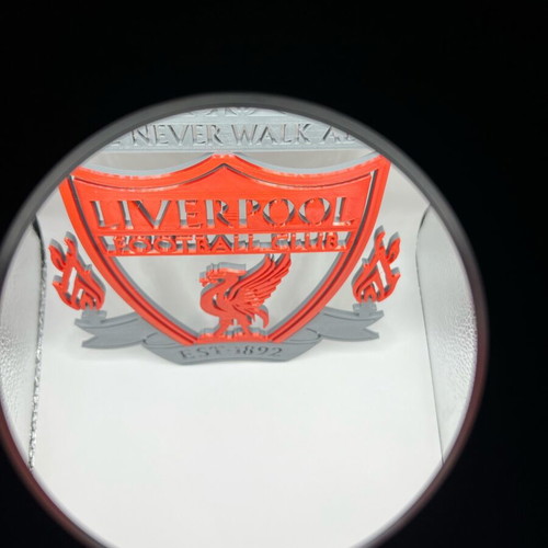 Liverpool logo for wall or desk 18x24x6