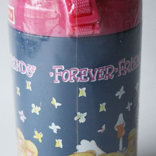 Vintage Forever Friends Kids Water Bottle Lion Star new