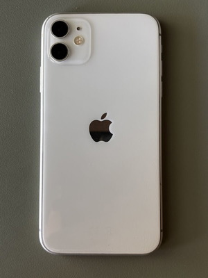 iPhone 11 used with protective case
