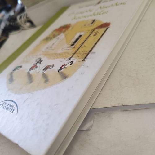 Le Petit Nicolas Disakevaze children's book like new