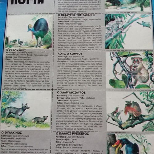 The World of Animals for Children used book