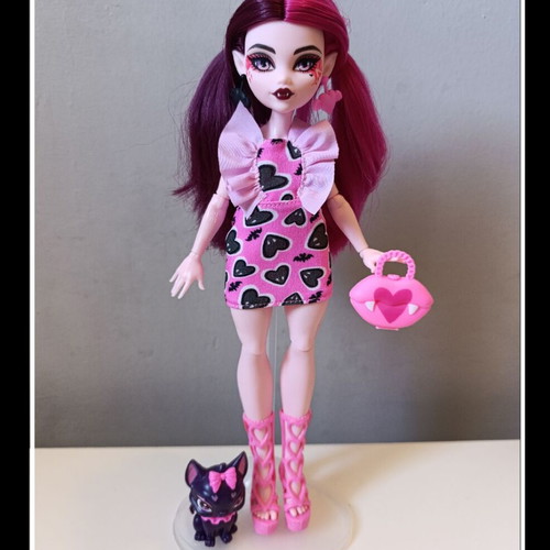 Monster High Draculaura doll with pet and accessories