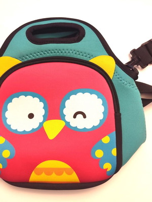 Children's lunch bag like new with strap and front pocket