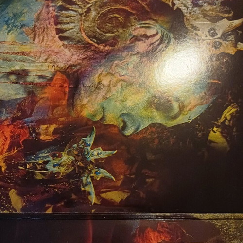 Paradise Lost Draconian Times double LP used, metal