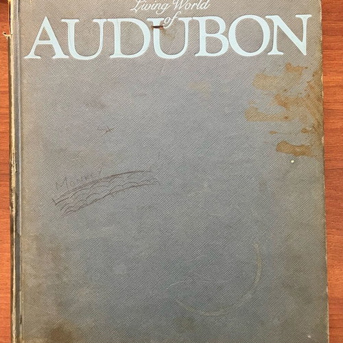 The Living World of Audubon book used, English