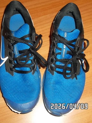 Nike Air Zoom Pegasus 38 shoes like new, blue and white