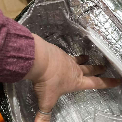Polo insulated lunch bag like new with three compartments and inner transparency