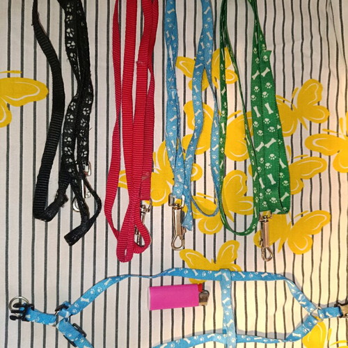 Leashes and harness used for small dogs