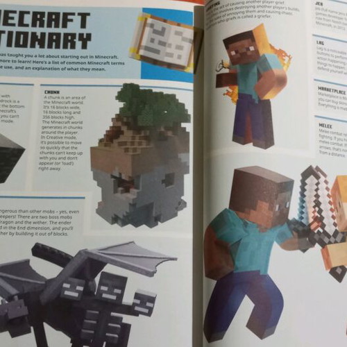 Minecraft for Beginners book new, hobby