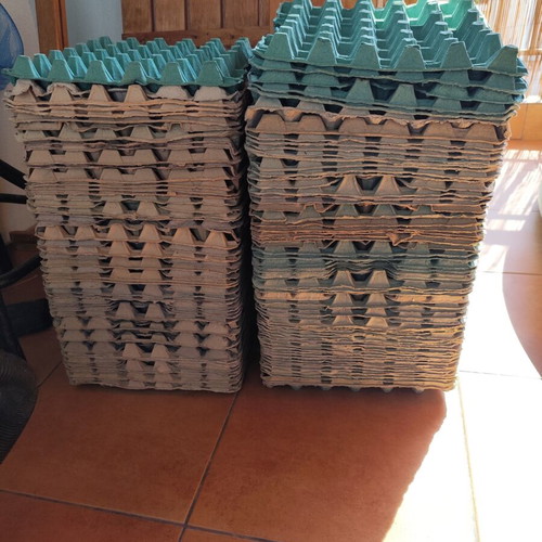 Paper egg tray pack of 110, like new