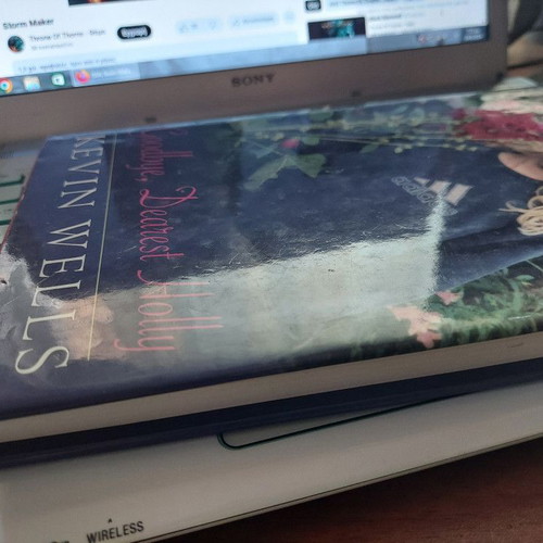 Book Goodbye Dearest Holly hardcover like new