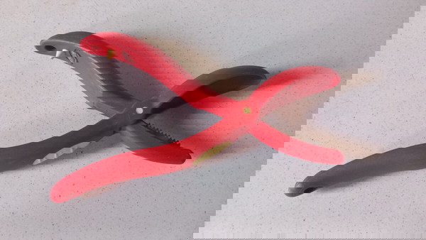 Λαβίδα για κάστανα snips
