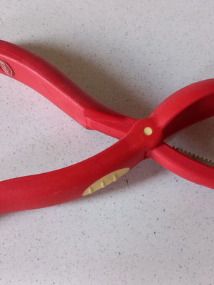 Chestnut snips used, unused