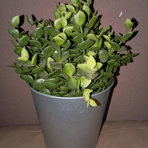 Artificial plant ÅKERBÄR IKEA like new in galvanized metal pot