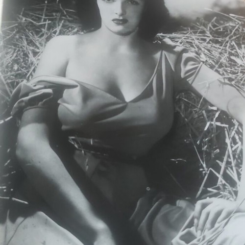 The Pin-Up 1974 book used, with cover stain