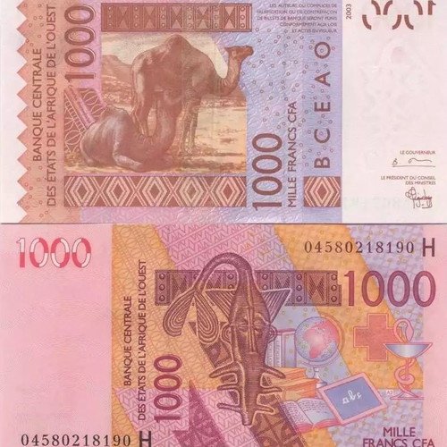 Niger 1,000 Francs CFA banknote 2021, BCEAO
