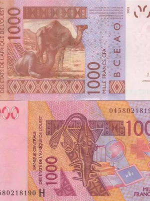 Niger 1,000 Francs CFA banknote 2021, BCEAO