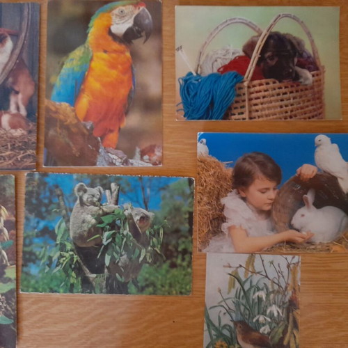 Vintage postcards from the 70s with animals and flowers, used, pack of 7