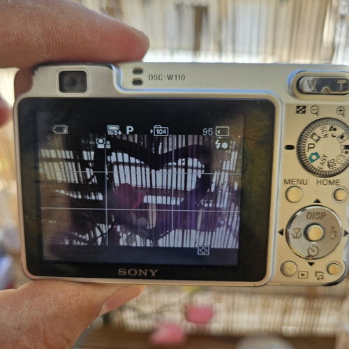 Sony Cyber-shot DSC-W110 7.2 MP Compact Digital Camera